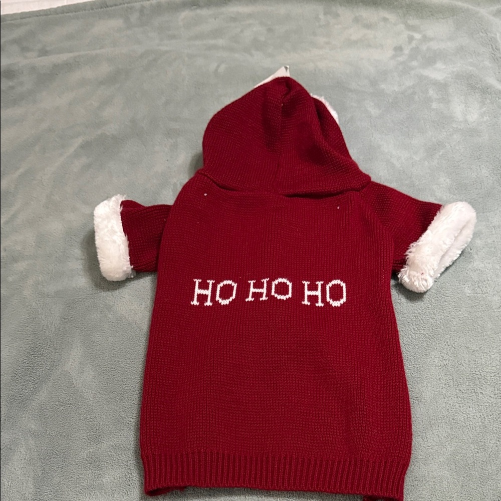 Red Dog Hoodie with White Trim